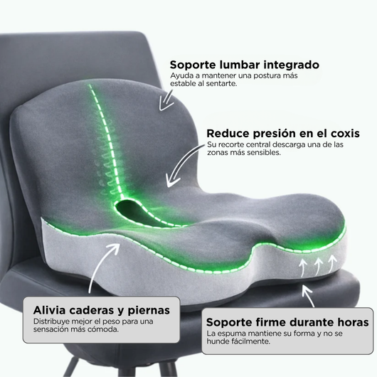 Asenta Comfort+ | Asiento ergonómico